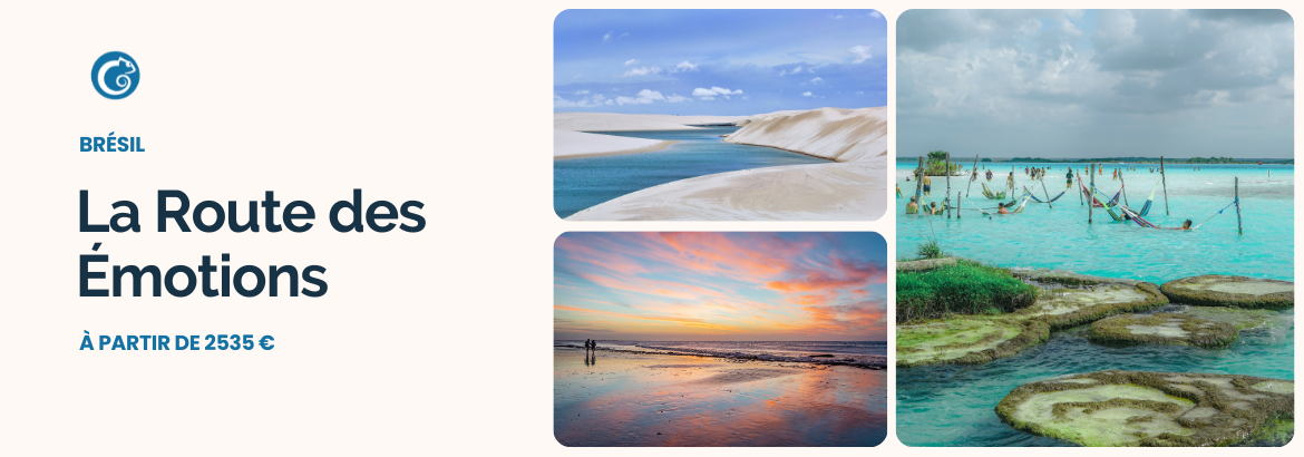 54 - Brésil, route des émotions 